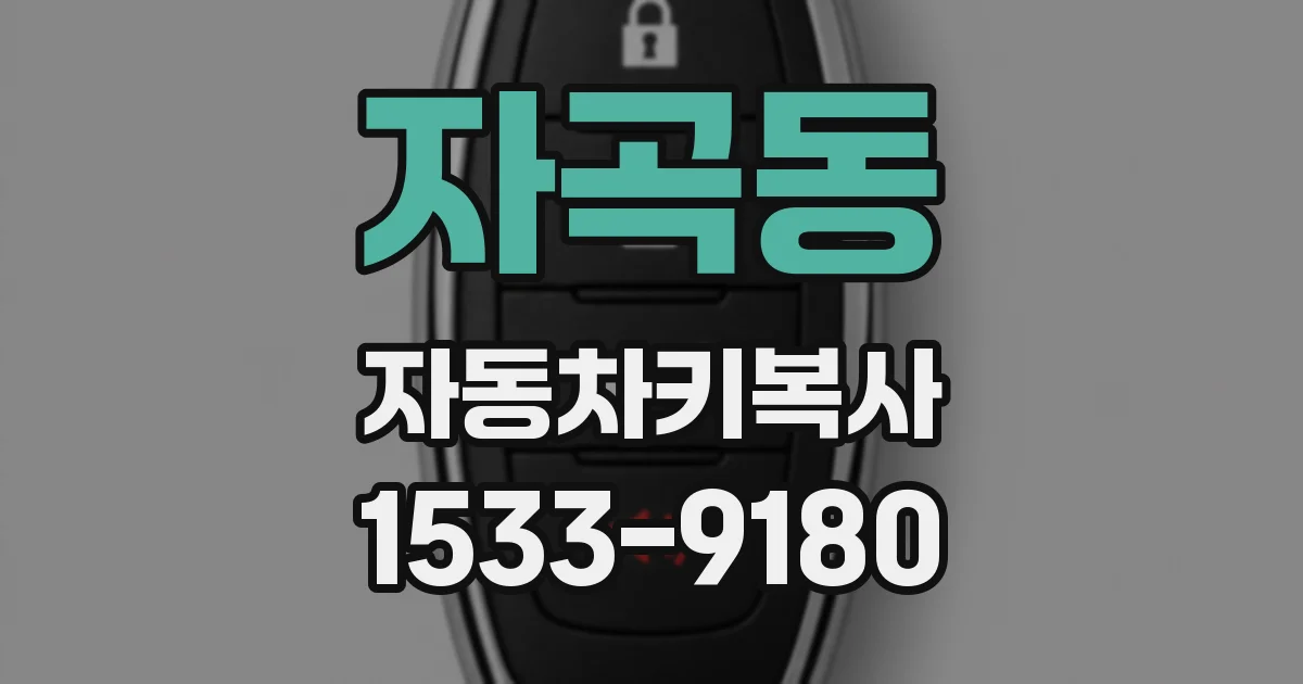 자곡동 자동차키복사