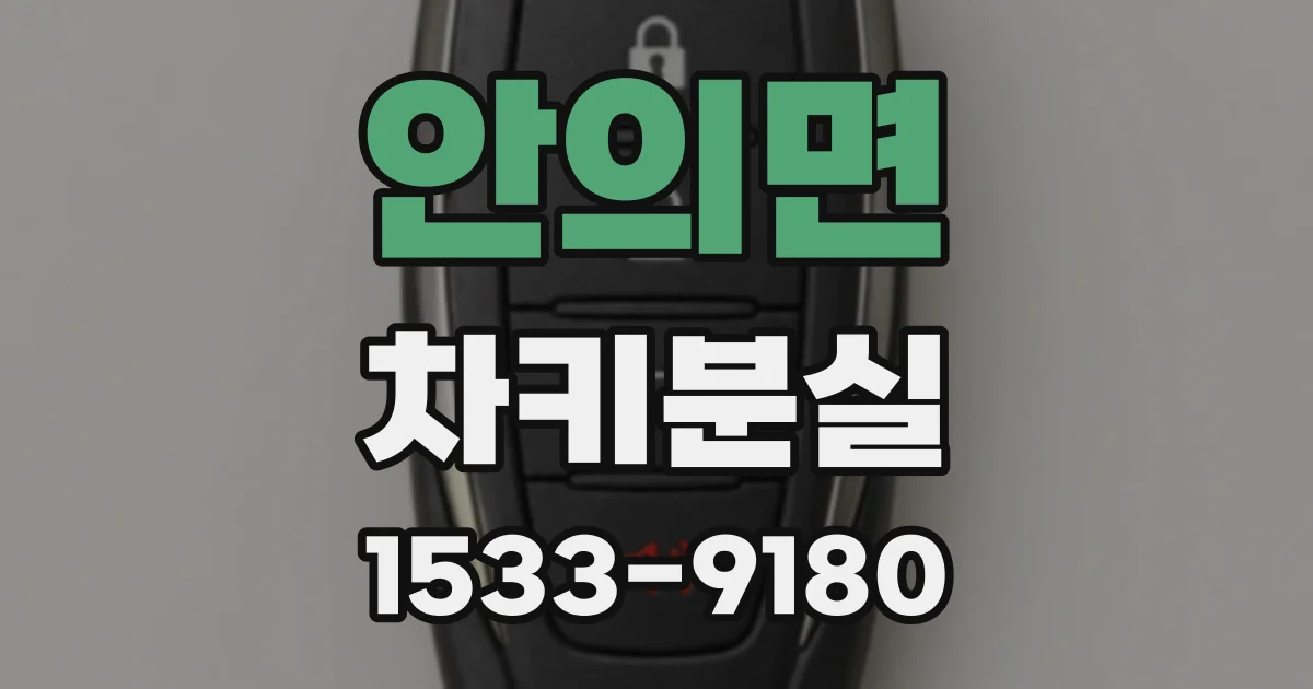 안의면 차키분실