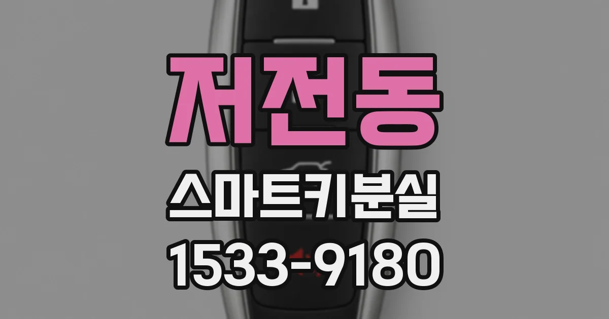 저전동 스마트키분실