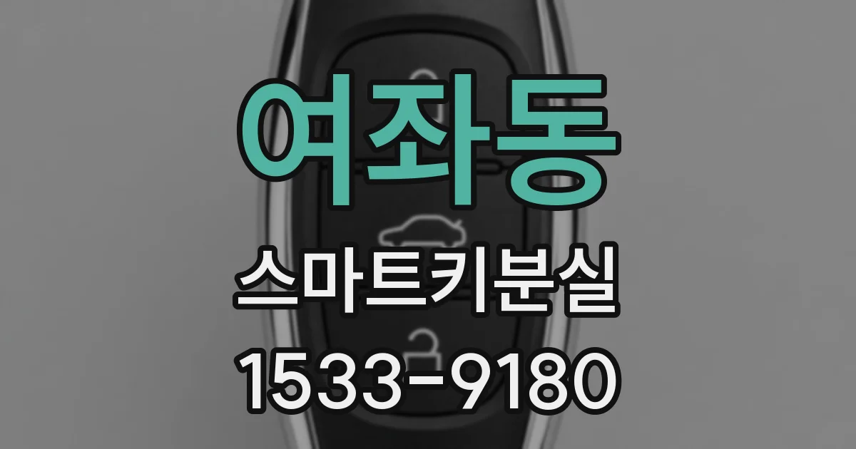 여좌동 스마트키분실