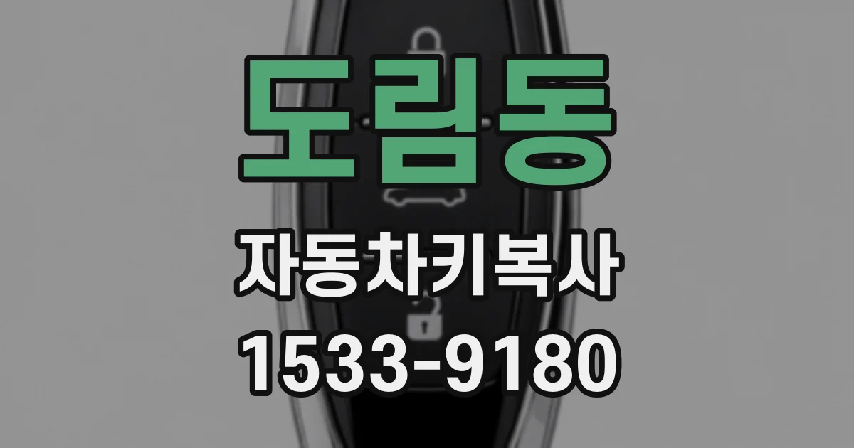 도림동 자동차키복사
