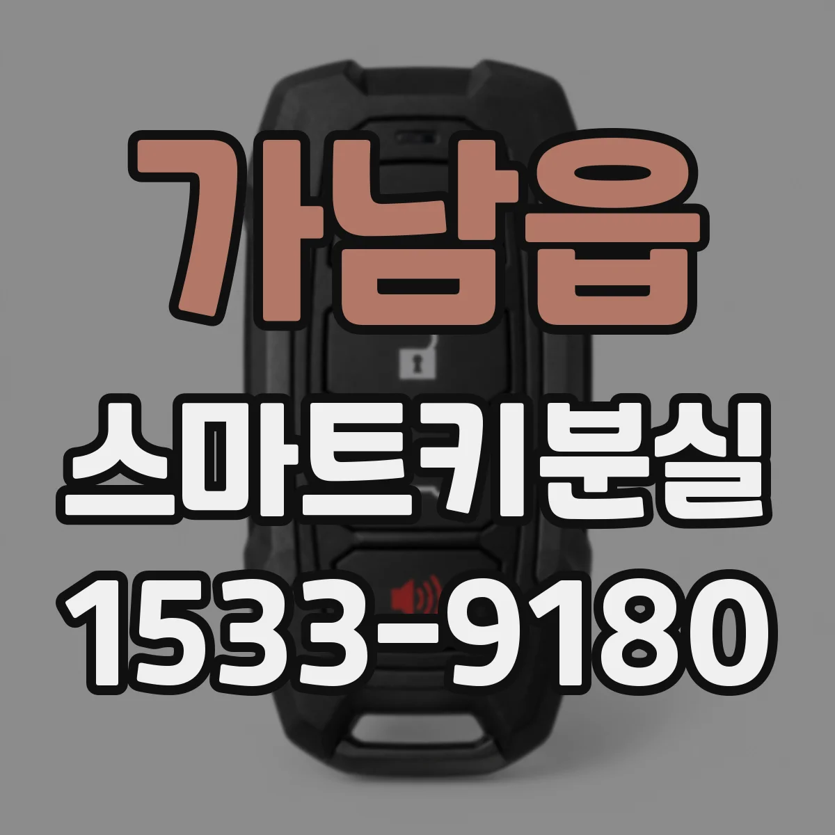 가남읍 스마트키분실