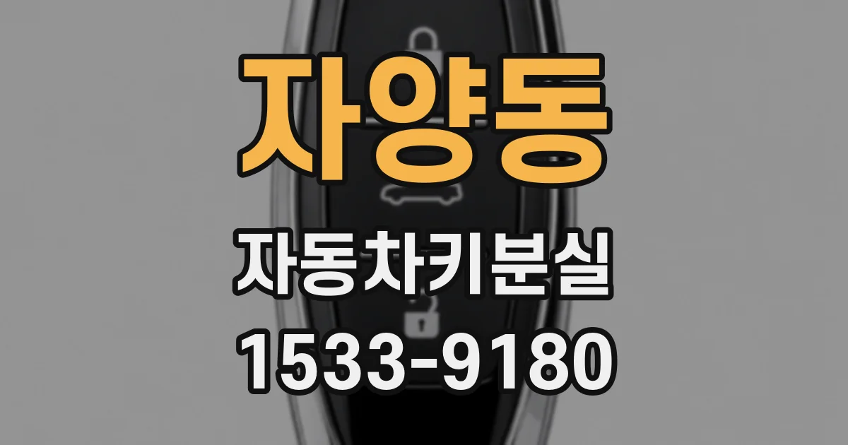 자양동 자동차키분실