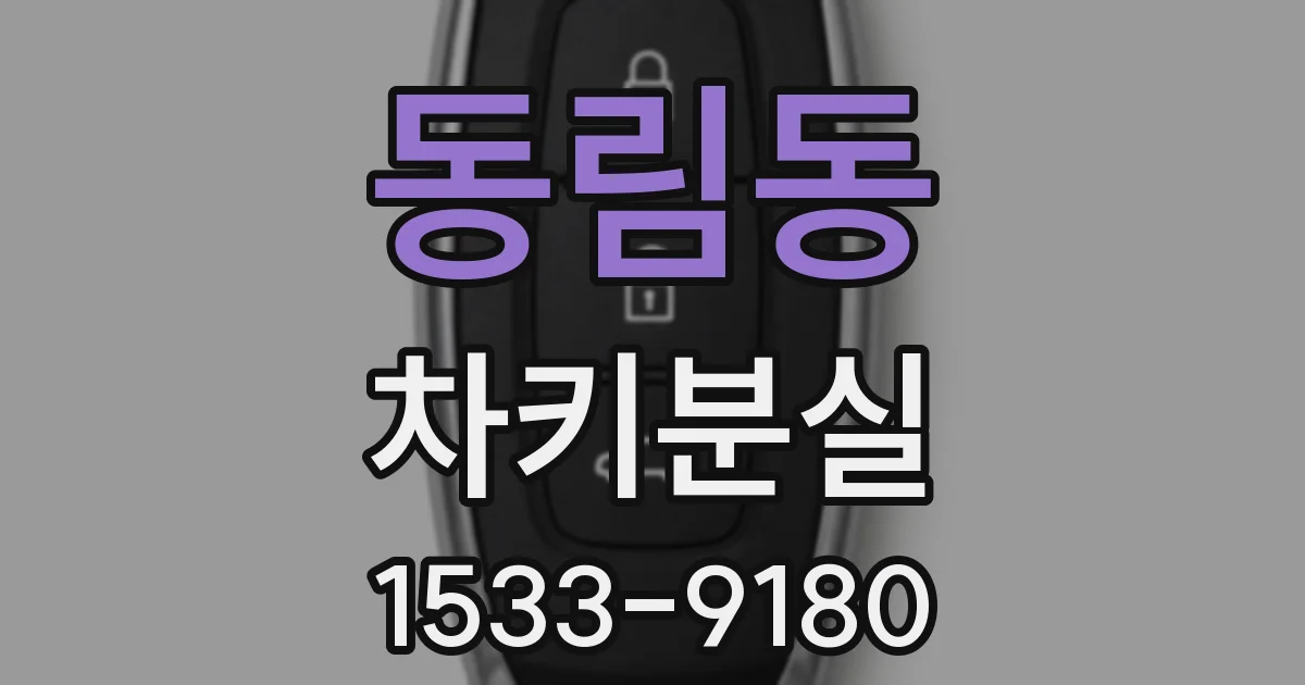 동림동 차키분실
