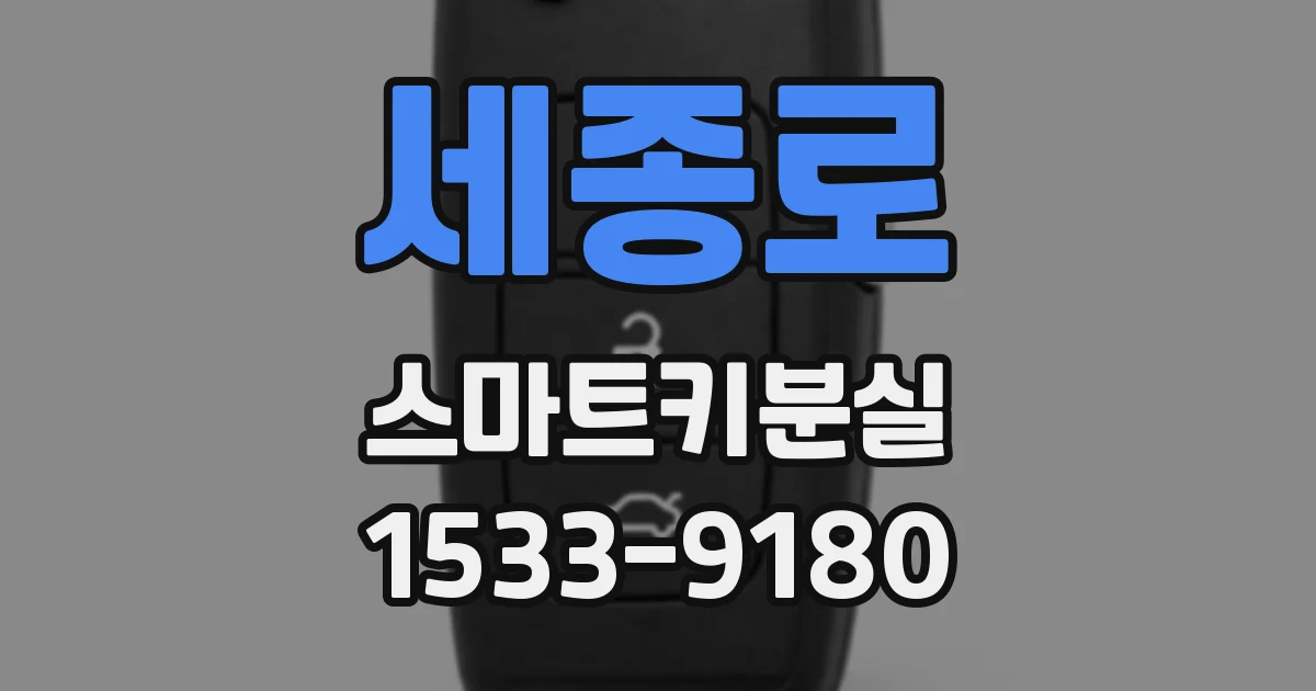 세종로 스마트키분실