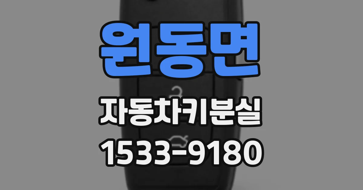 원동면 자동차키분실