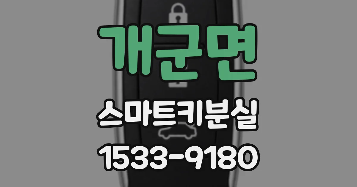 개군면 스마트키분실