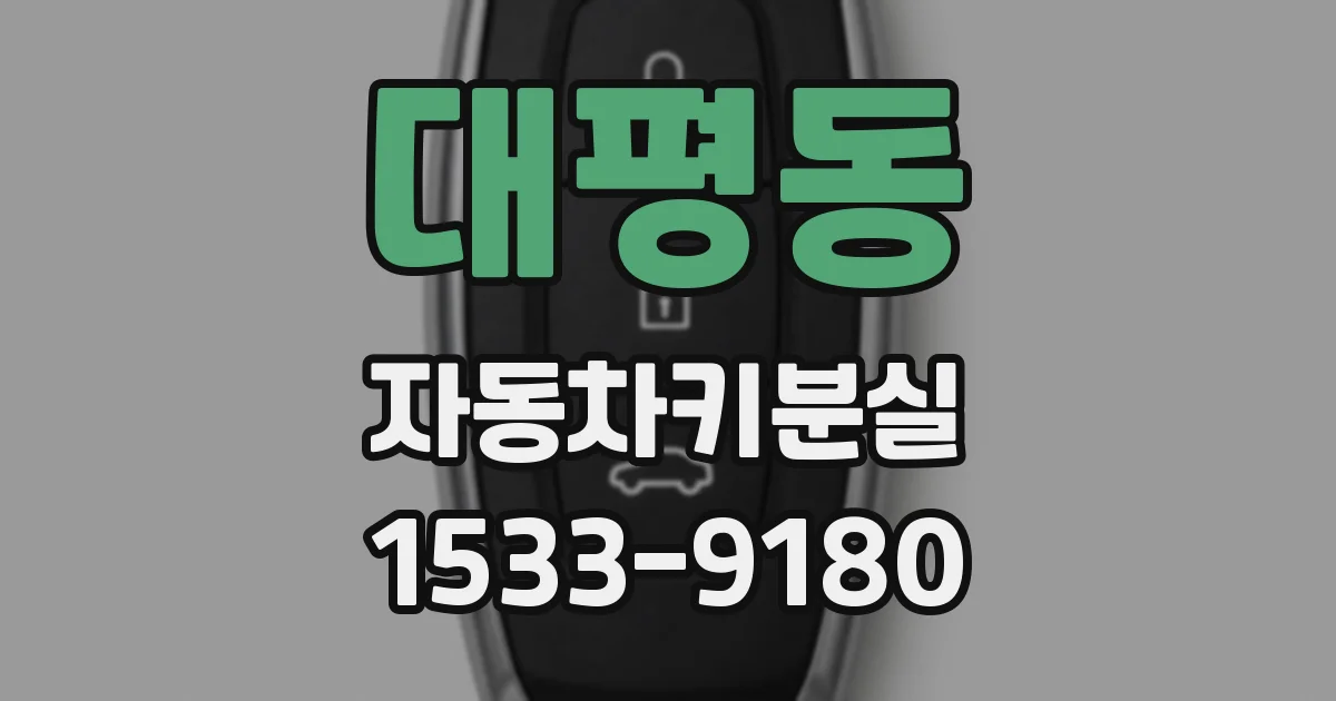 대평동 자동차키분실
