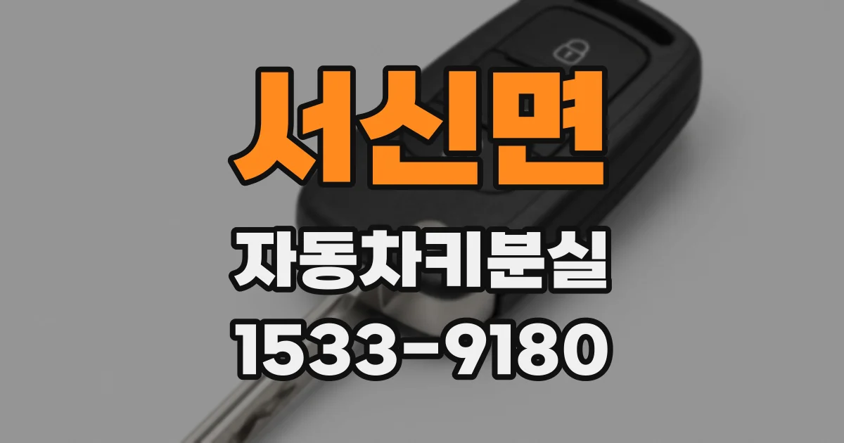 서신면 자동차키분실