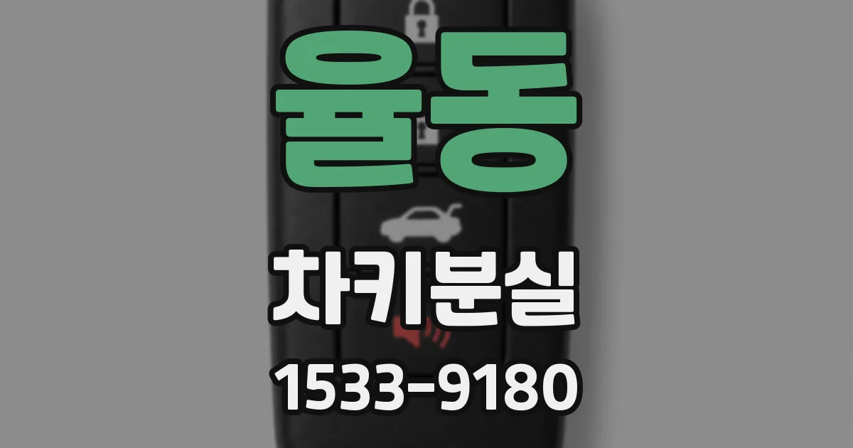 율동 차키분실