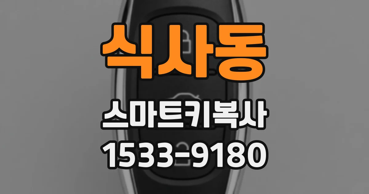 식사동 스마트키복사