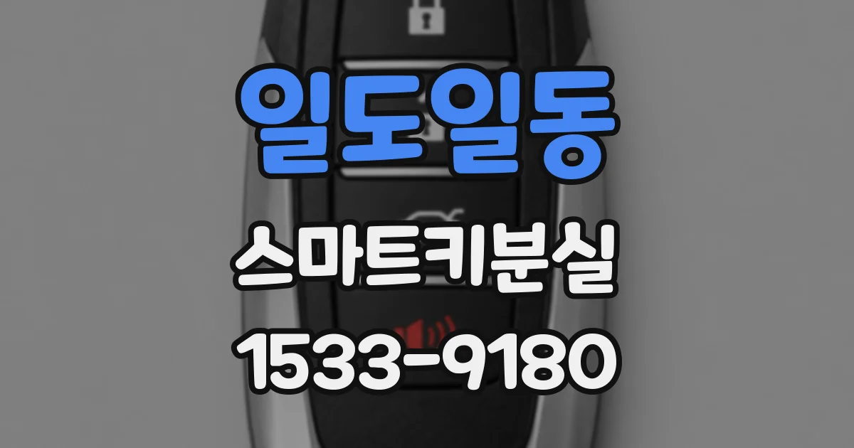 일도일동 스마트키분실