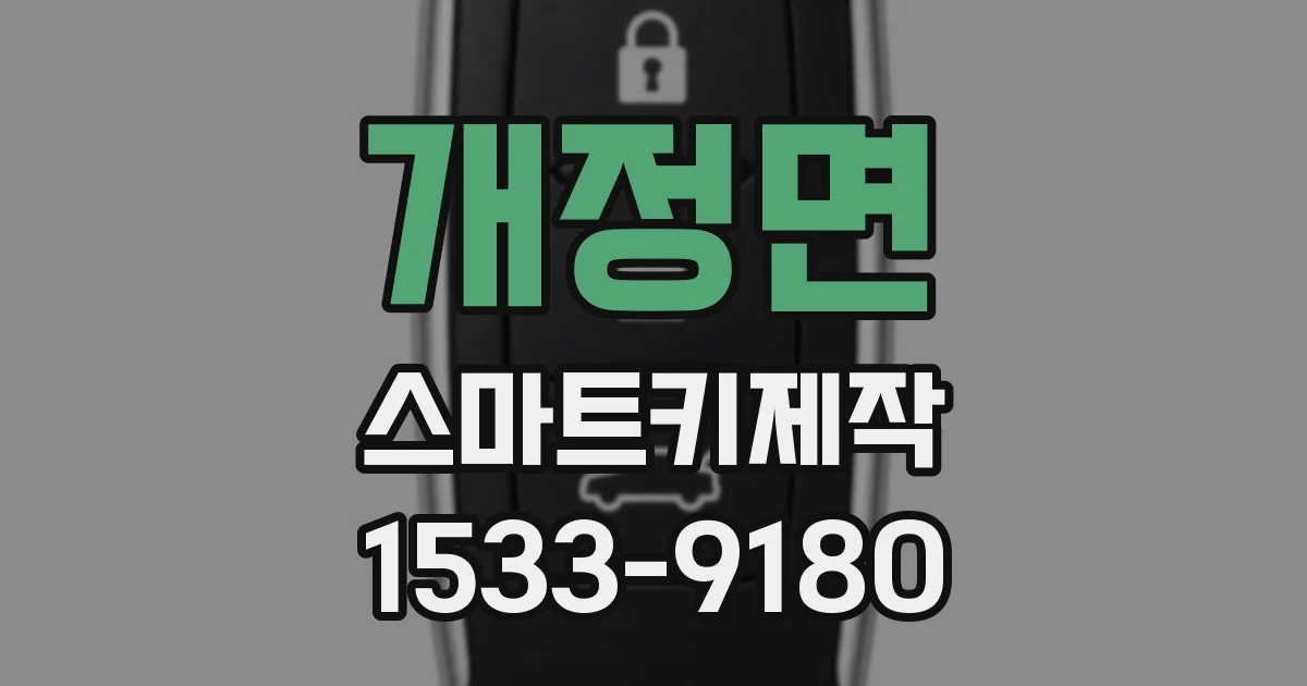 개정면 스마트키제작