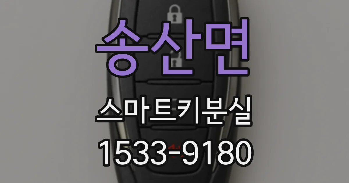 송산면 스마트키분실