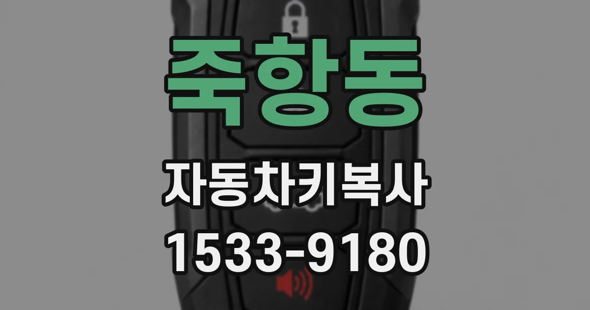 죽항동 자동차키복사