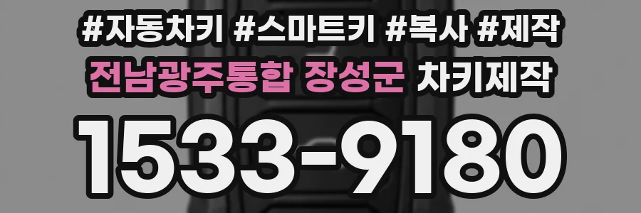 전남광주통합 장성군 차키제작