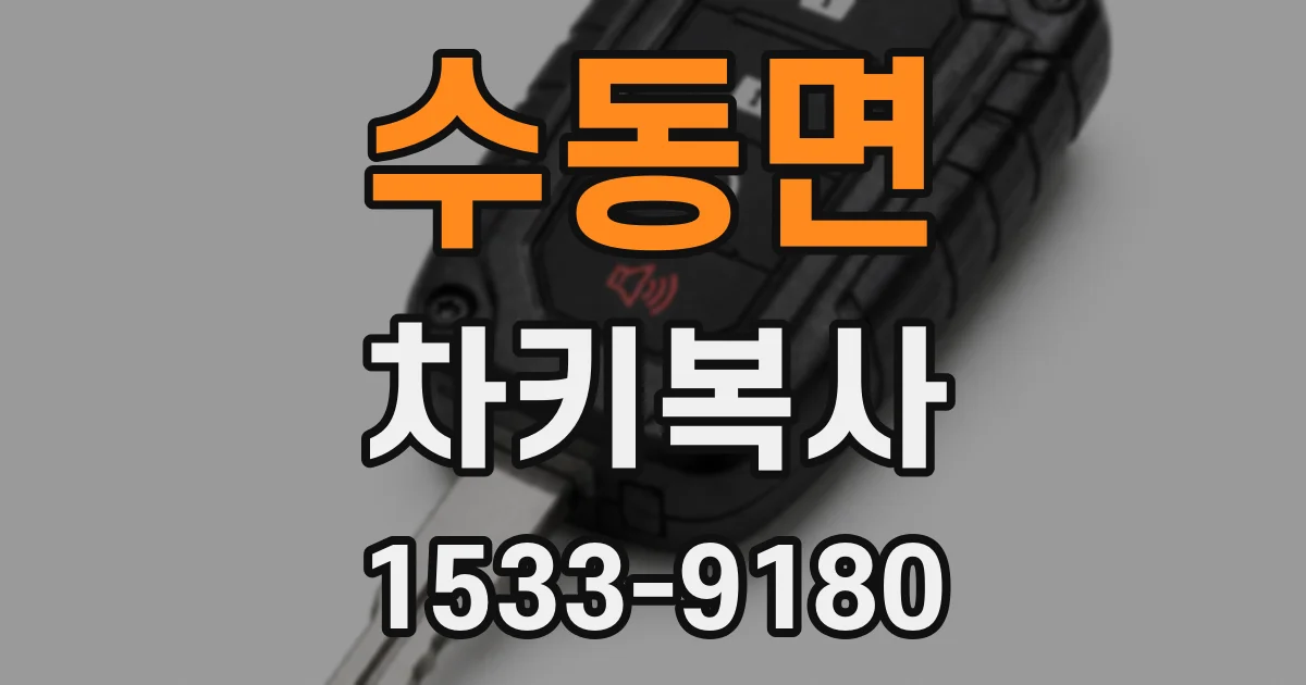 수동면 차키복사