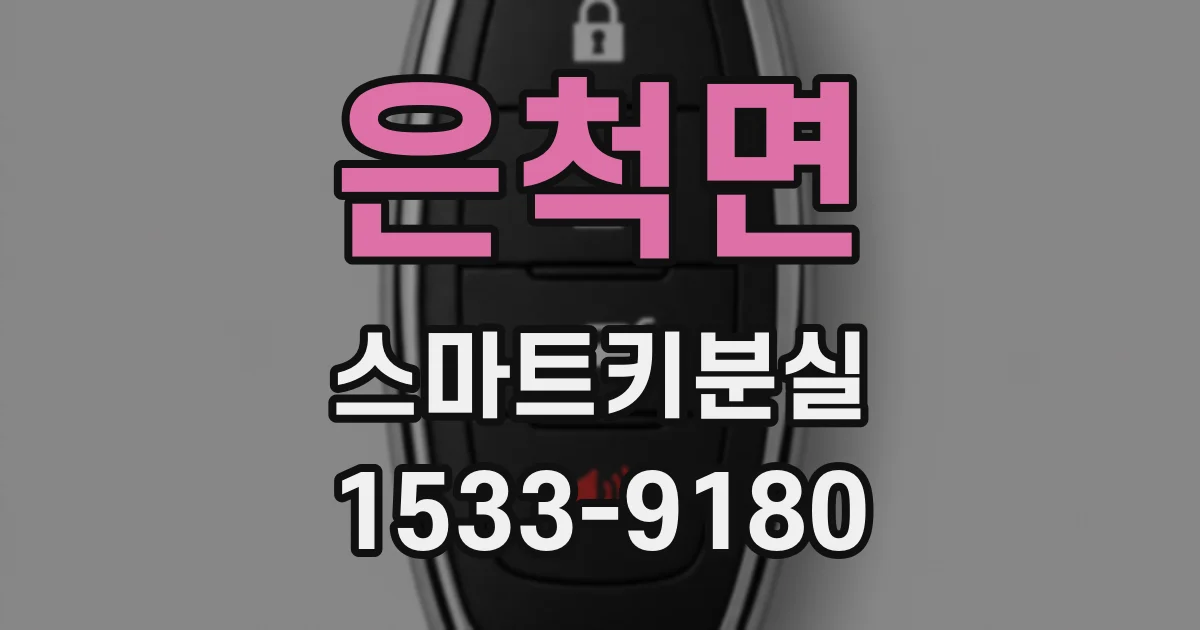 은척면 스마트키분실