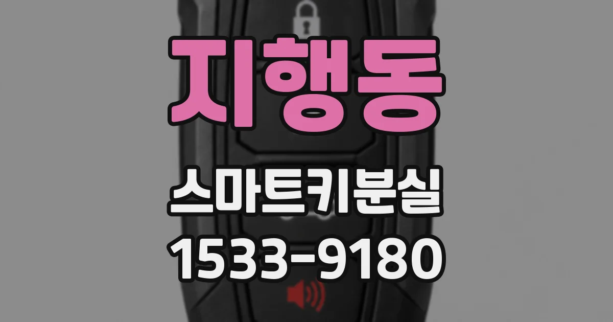 지행동 스마트키분실