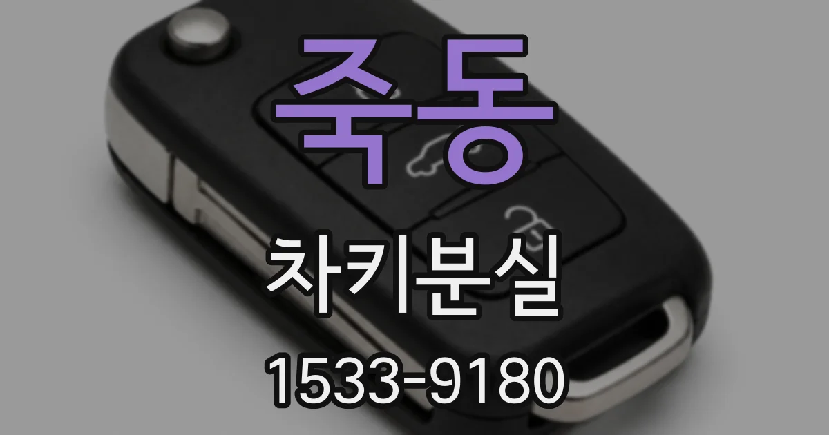 죽동 차키분실