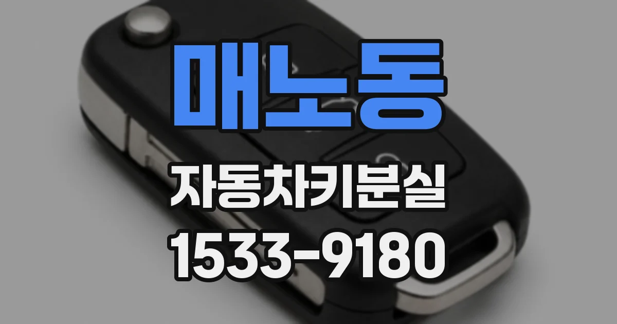 매노동 자동차키분실