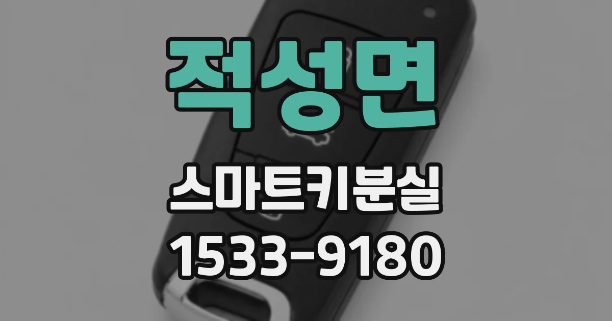적성면 스마트키분실