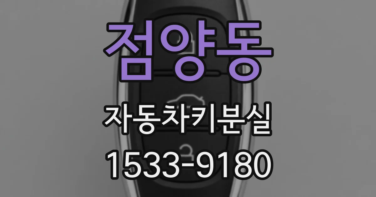 점양동 자동차키분실