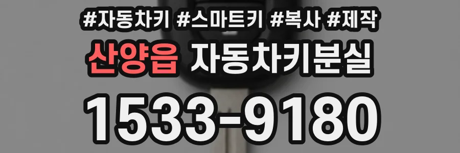 산양읍 자동차키분실