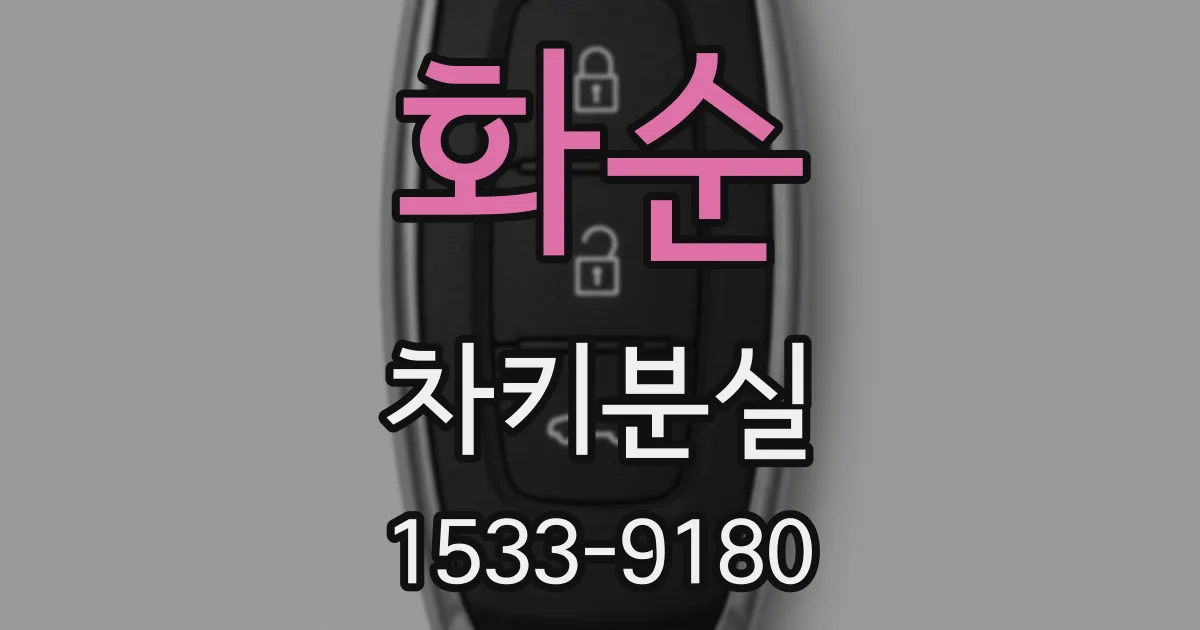 화순 차키분실