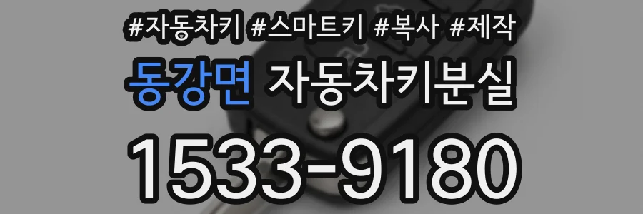 동강면 자동차키분실