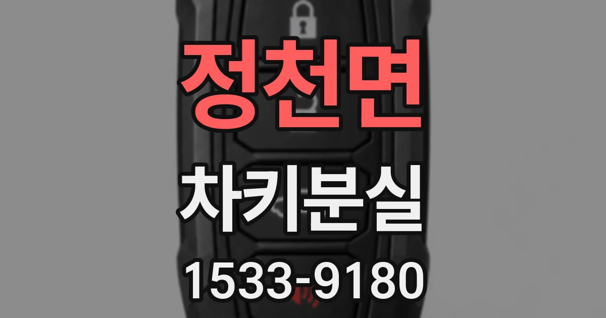 정천면 차키분실