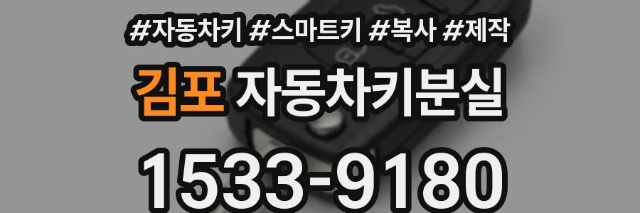 김포 자동차키분실