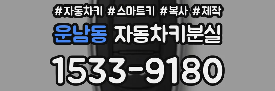 운남동 자동차키분실