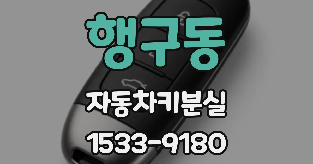 행구동 자동차키분실