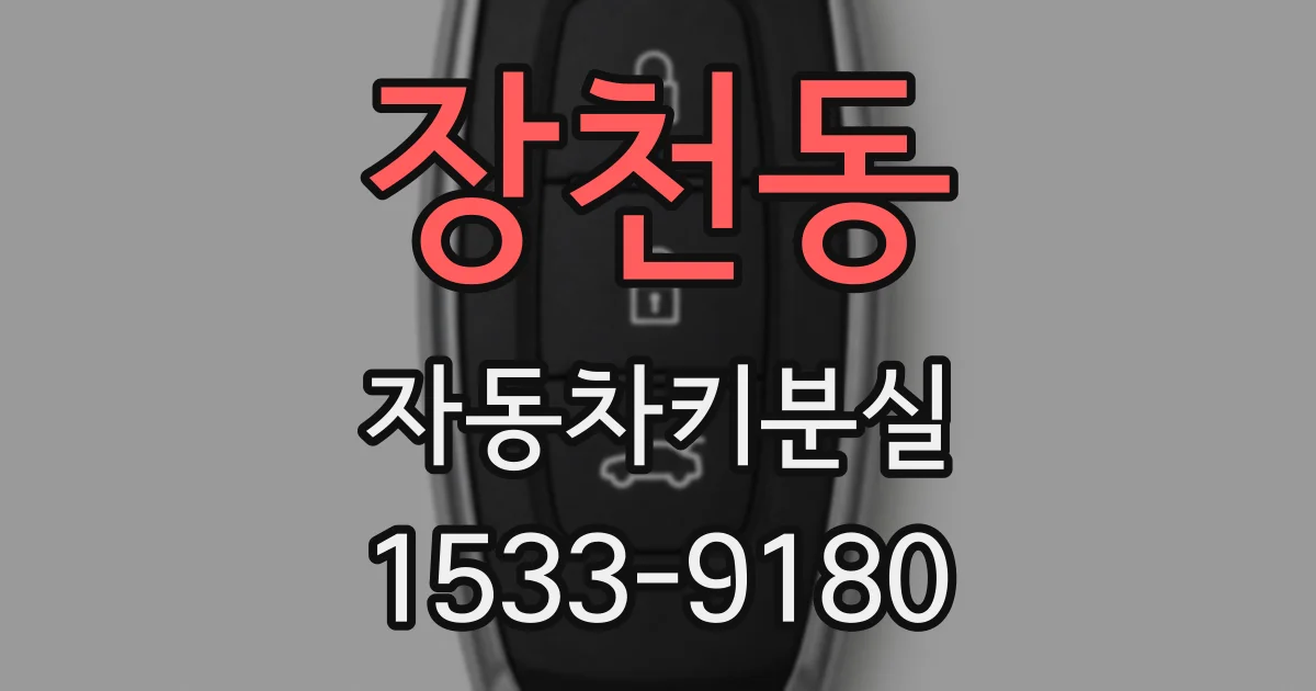 장천동 자동차키분실