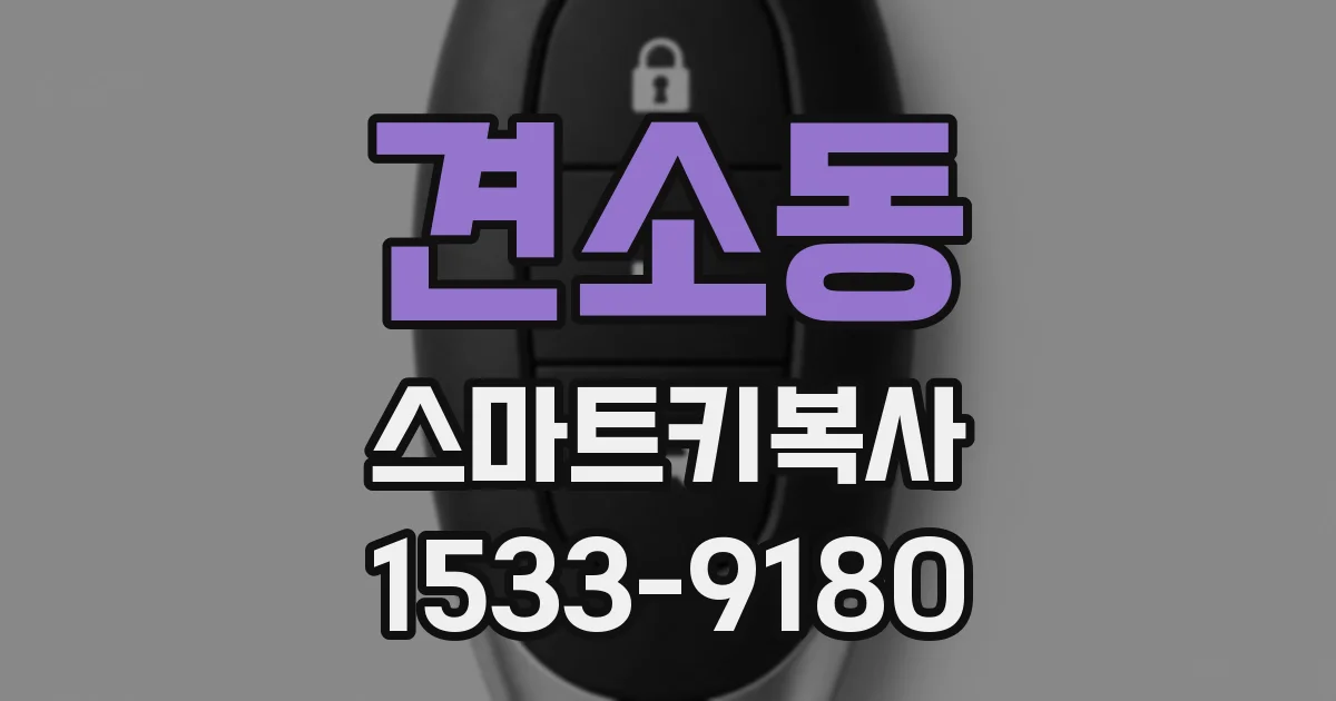 견소동 스마트키복사