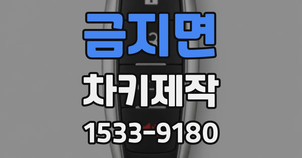 금지면 차키제작