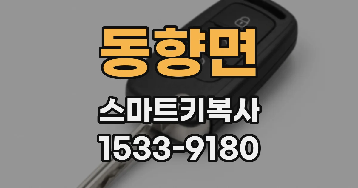 동향면 스마트키복사