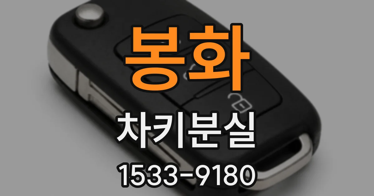 봉화 차키분실
