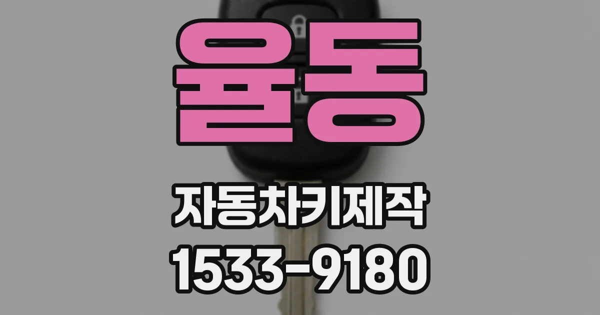 율동 자동차키제작