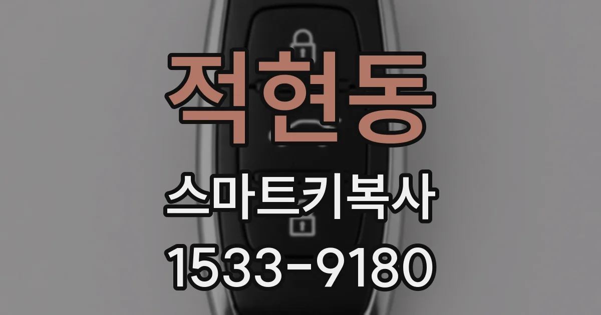 적현동 스마트키복사