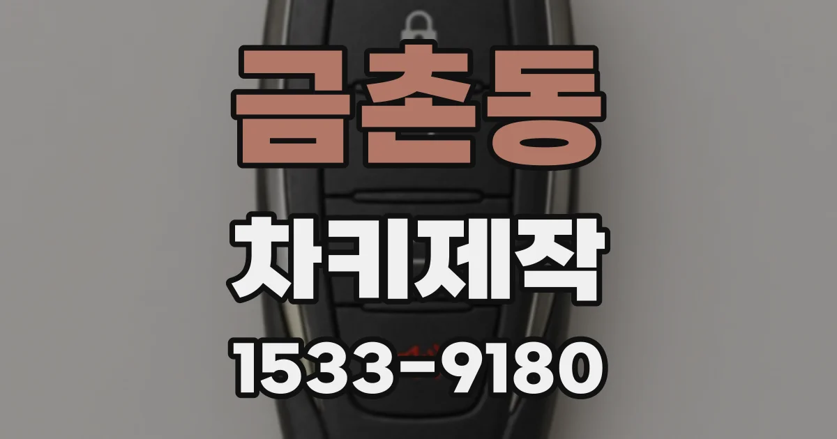 금촌동 차키제작