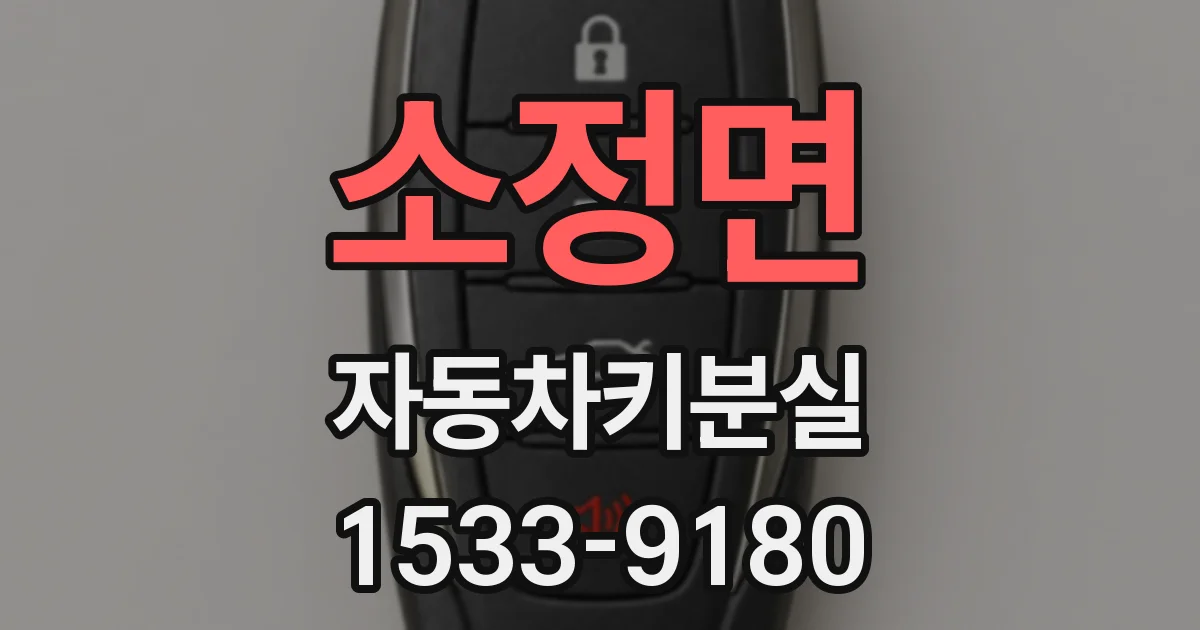 소정면 자동차키분실