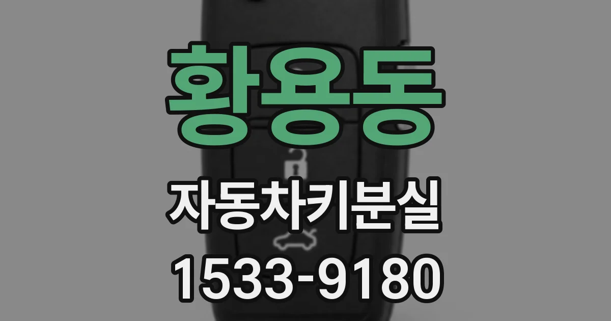 황용동 자동차키분실