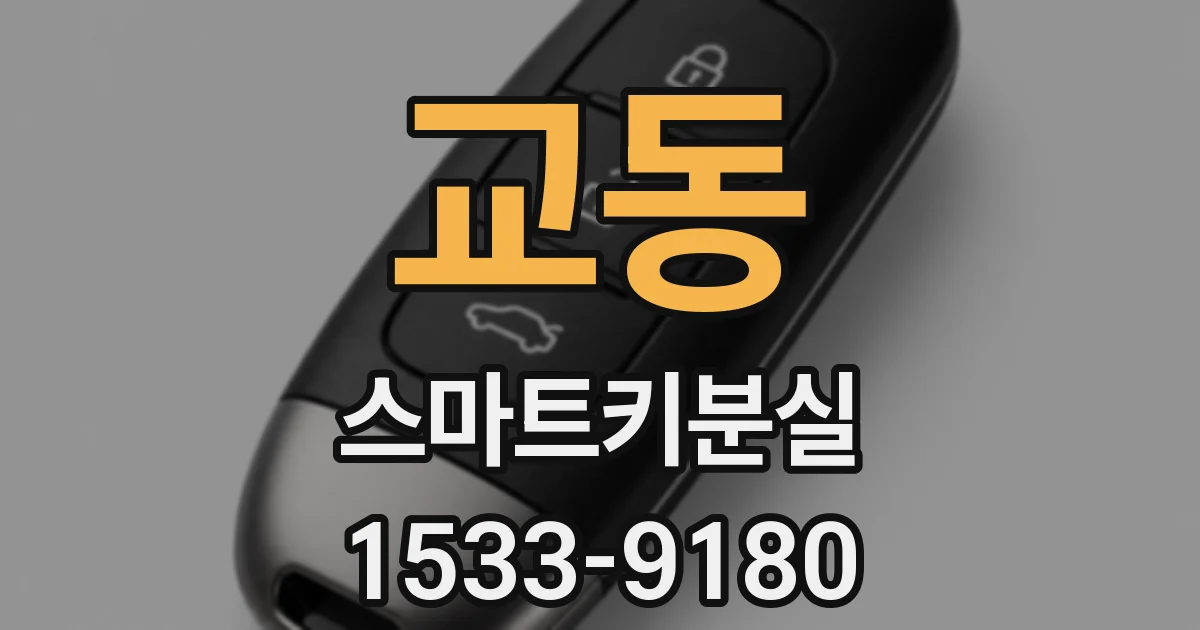 교동 스마트키분실