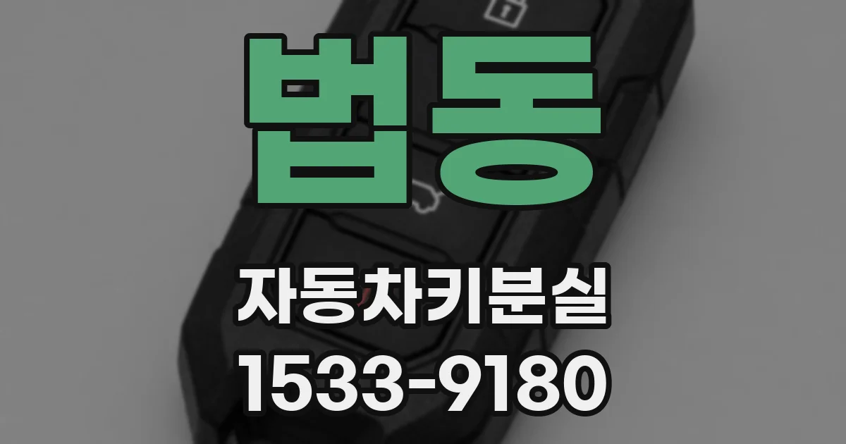 법동 자동차키분실