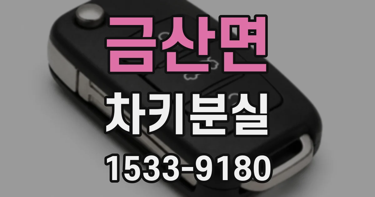 금산면 차키분실