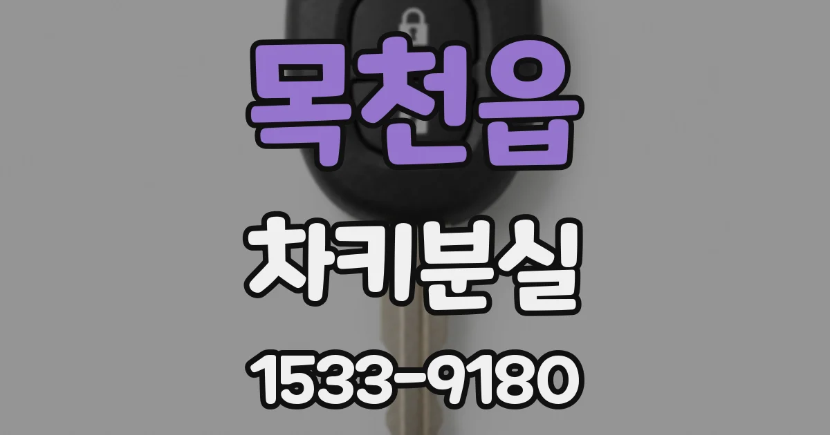 목천읍 차키분실
