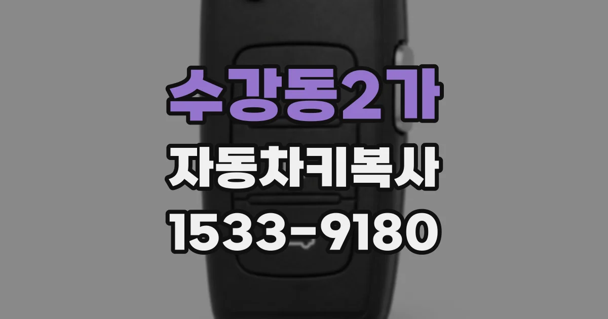 수강동2가 자동차키복사