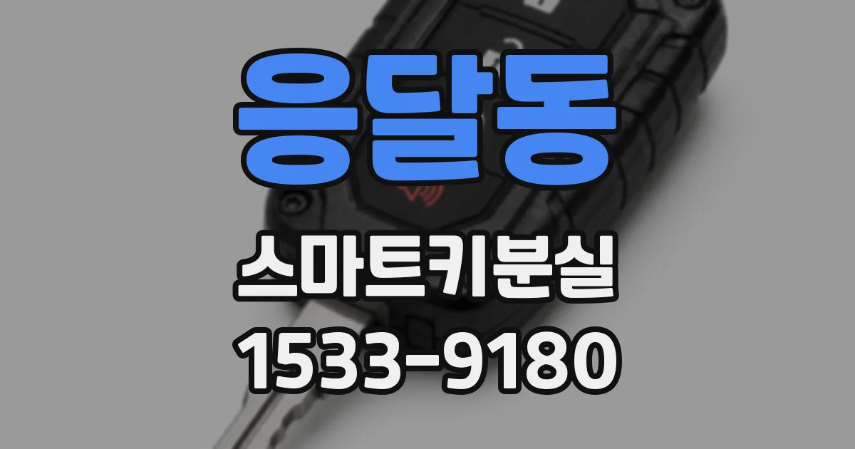 응달동 스마트키분실